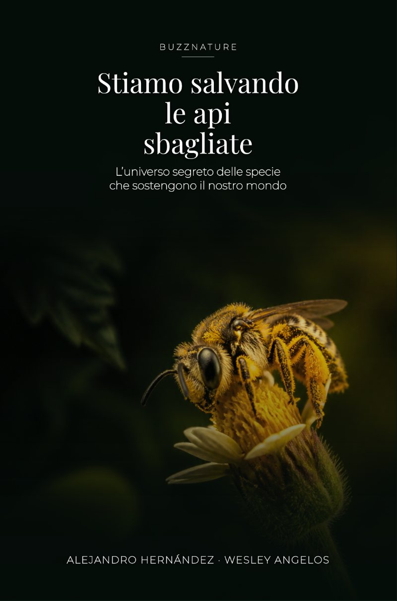 Copertina del libro «Stiamo salvando le api sbagliate» di Alejandro Hernández e Wesley Angelos